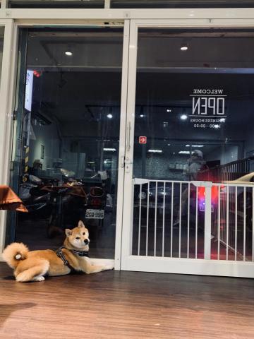 角度夢寵物美容概念所 - 等一個人柴柴