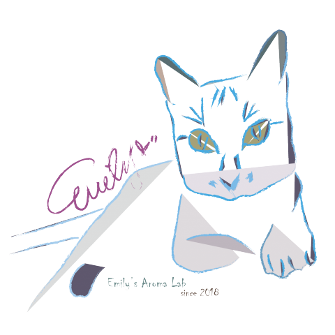 提供精油芳療服務的專家Emily's aroma Lab