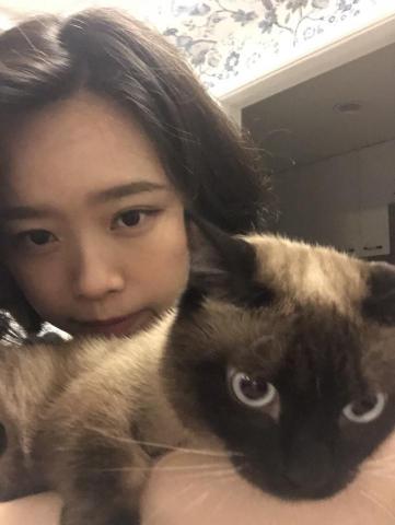 提供486翻譯筆plus服務的專家黎辛蒂