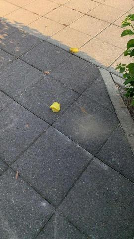 正霖實業有限公司 - 人行道磚重整鋪設