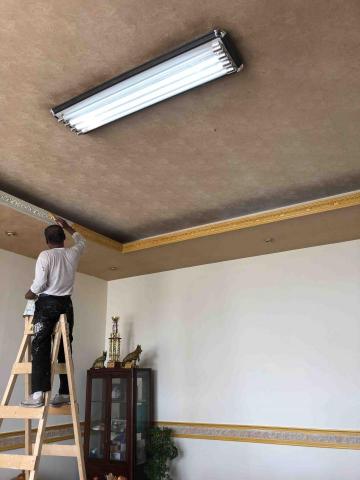 Mr.蘇 - 工廠辦公室 粉刷改色。