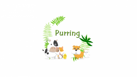 許育銓 - 片頭logo動畫