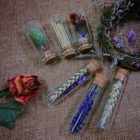 Trista - 商業攝影