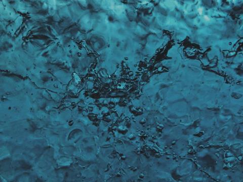 Trista - 攝影＿自然風景