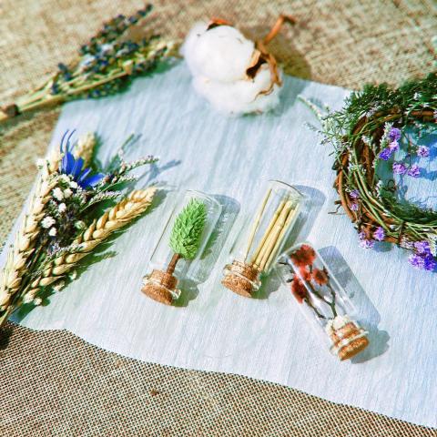 Trista - 商業攝影