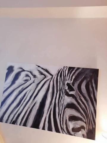 向瑪姬 - 思維中的斑馬