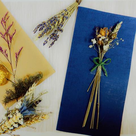 Trista - 商業攝影