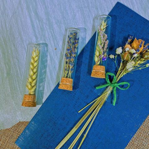 Trista - 商業攝影