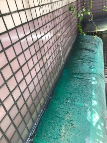 黃思宏 - 外牆雨遮矽立康更新修補