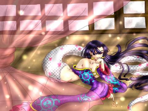 Kelly - 海賊王，蛇姬