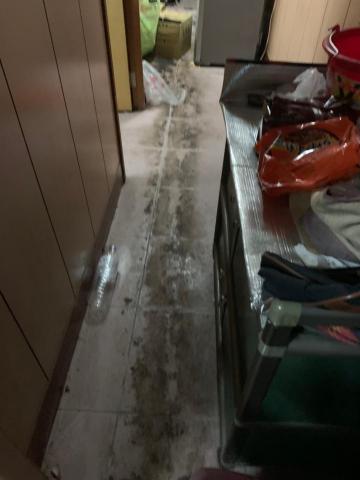 老總人力派遣有限公司 - 糞便傻眼