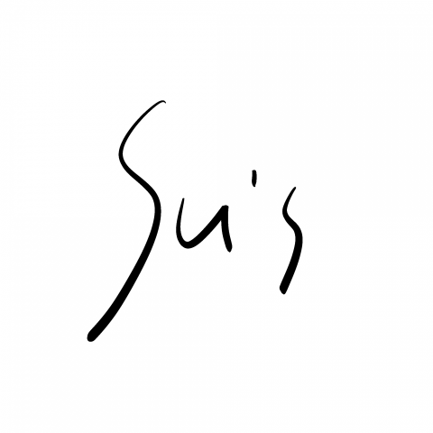 提供手寫繪圖板服務的專家蘇惟