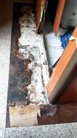 晴鏵修繕--施作面--天地牆水泥-角木架設-屋頂防水-油漆 - 露營車-鋸門挖地，防水，鋪平，戶登，塑膠地板維修