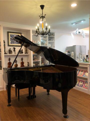 田園樂府麗池音樂發展中心 - 