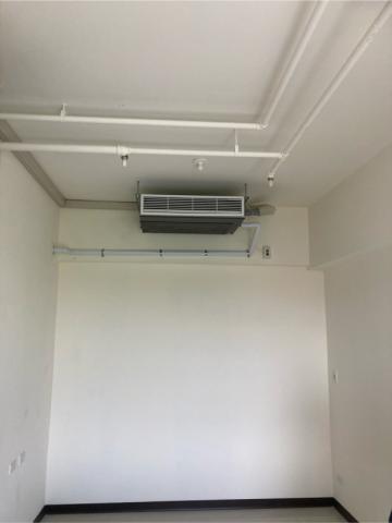 徐欣男 - 大金吊隱內機