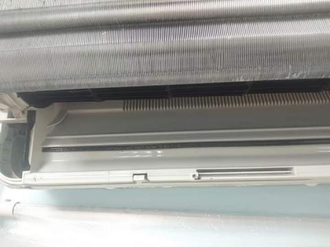 熊蓋讚服務公司 - 