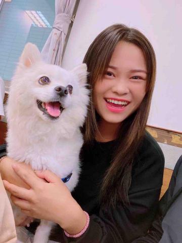 提供多少服務的專家我叫佩珊