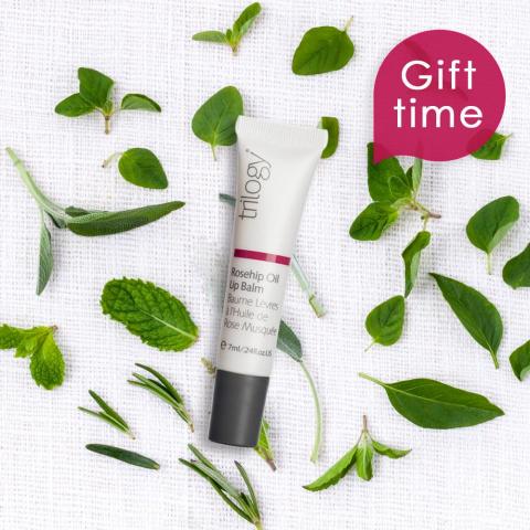 桔黃工作室 - 廣告Banner