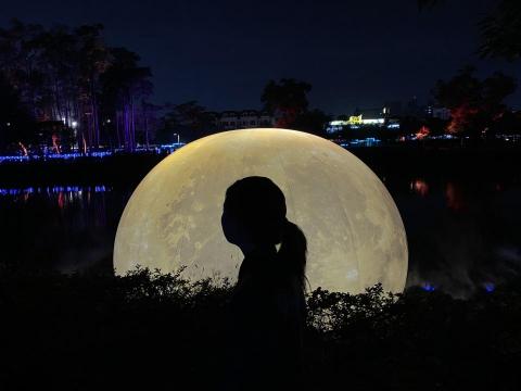 董萱伶 董萱伶