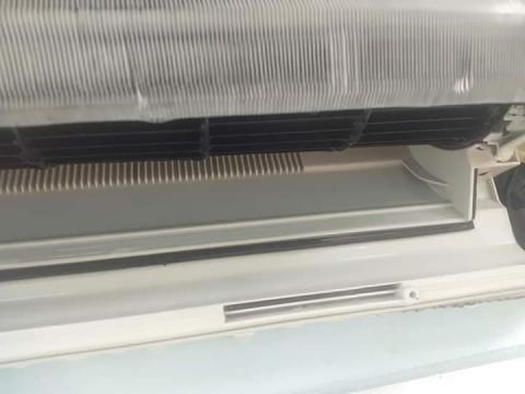 熊蓋讚服務公司 - 