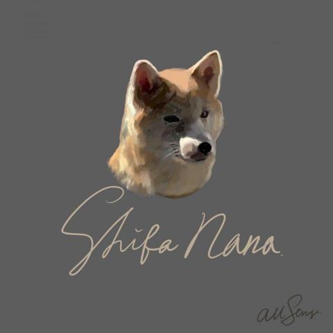 AllSense Design - 手繪風格畫