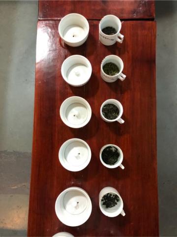 荼苗有限公司 - 評茶