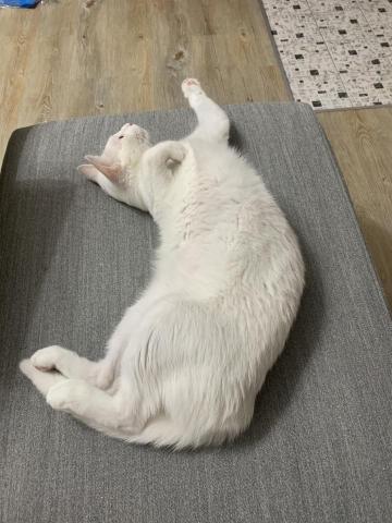 提供除草服務的專家緯