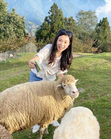 新竹市香山區英文編譯專家推薦Grace