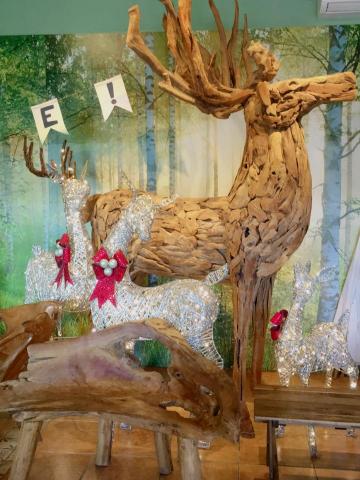 提供清粉刺服務的專家小雪