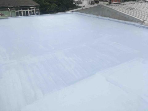 徐國華 - 得利抗裂防水塗料完成圖