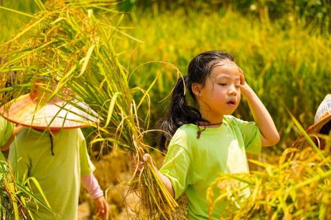 藝佳視覺設計 連先生 - 