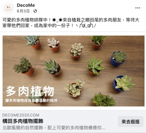 Ting yang - 多肉植物商品拍攝
圖片素材製作