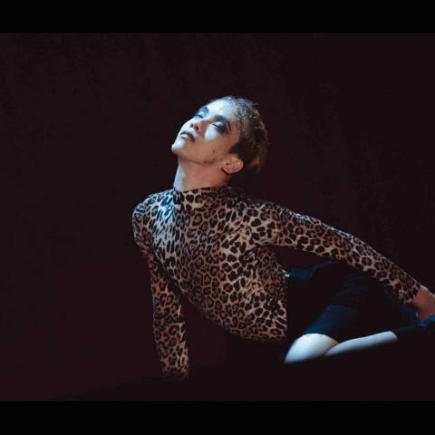 提供舞團服務的專家Chen