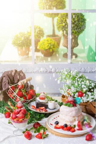 米倫攝影工作室 -  米倫攝影工作室 -