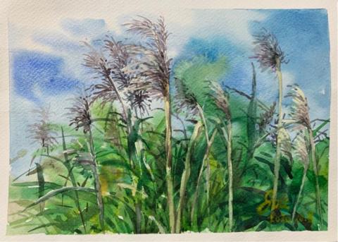 宇美術工作室 - 成人水彩示範作品