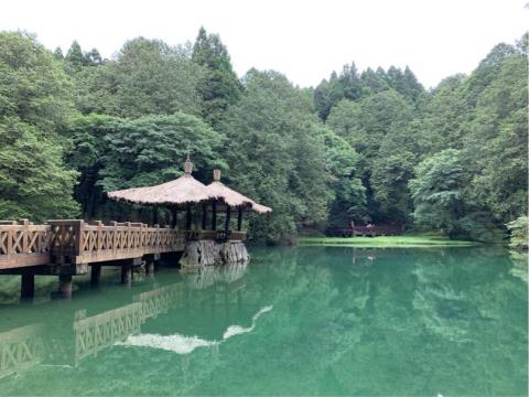 尊榮專車服務 - 美麗無比，阿里山園區