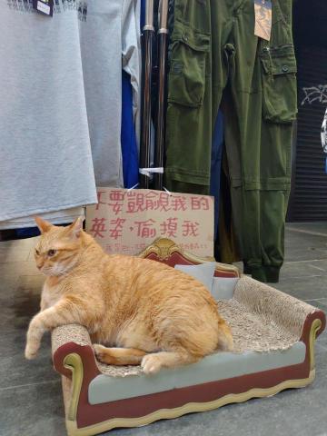 Jin展場設計股份有限公司 -  Jin展場設計股份有限公司 -