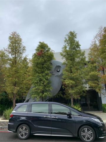 尊榮專車服務 - 貓頭鷹的探窺藏不住身體，真是可愛