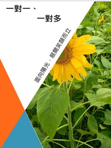 顏立數理 - 顏立數學