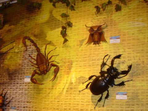 廈林國際廣告有限公司 - 