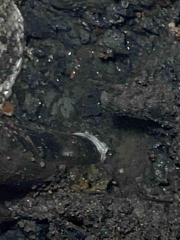 弘大企業社/施人弘 - 