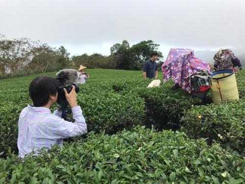 GoTaiwan電影工作室 - 廣告影片拍攝