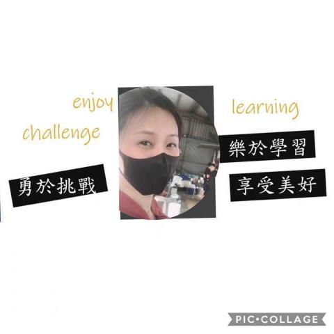 提供Word Excel服務的專家Polly