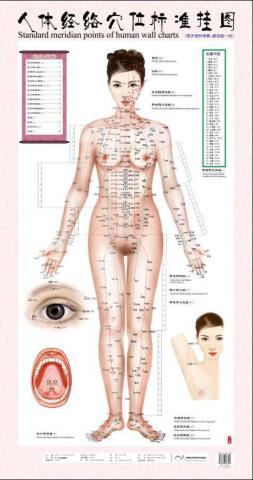 金足爽按摩服務 - 