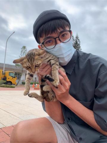 全能小卜卜 - 在金門遇到不怕人的超Q小虎斑，超想吃掉牠（？