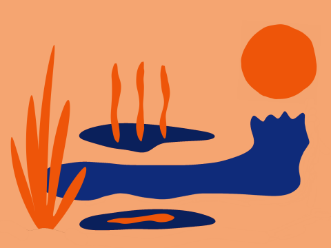 We Paint Walls -  We Paint Walls -