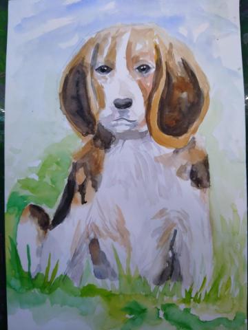 平藝藝術團隊 - 進階團體班作品欣賞