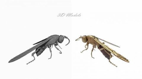 Patricia jewelry atelier - 