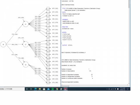 林鳴統計服務 - m plus 二階模型