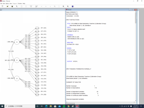林鳴統計服務 - m plus 一階模型